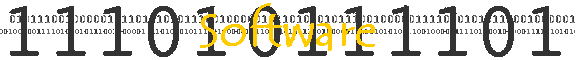 Software